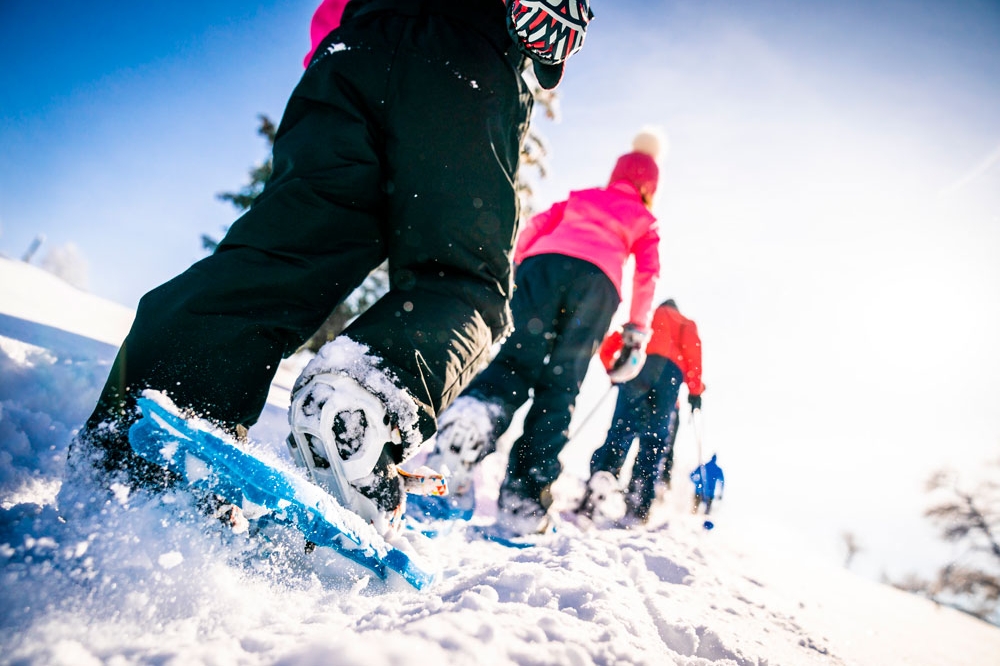 Formation - Module complémentaire Ski Forme