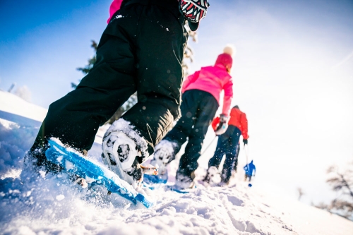 Formation - Module complémentaire Ski Forme